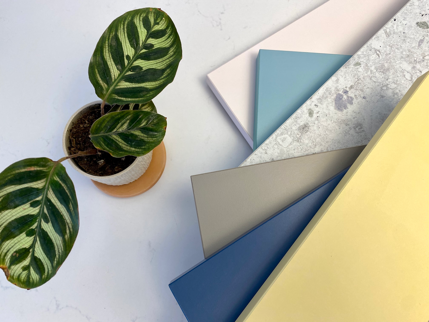 panneaux colores cuisine sur mesure